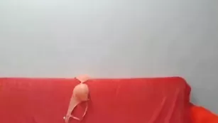 Блестящая самка Nicoletta99 теребит большие сиськи