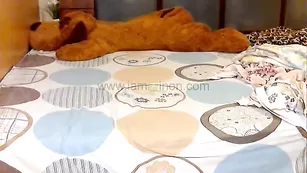 Чарующая стерва GirlOnFire ласкает интимные прелести