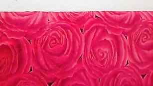 Жаркая красотка lnsomnia засаживает фаллос в очко