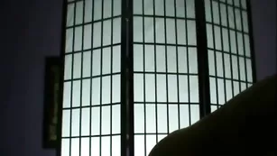 Роскошная сука CrazyKittie ебется с фаллосом