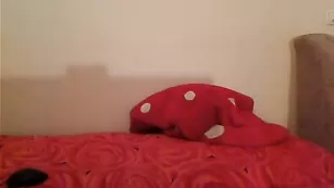 Симпатичная телка lnsomnia ласкает бритую письку