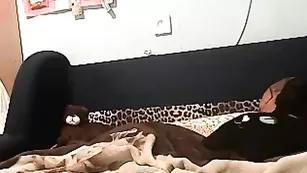 Blondik_Kruk домашние оральные ласки