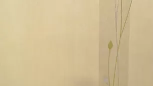 Alinn1 страстная ебля с игрушкой