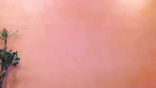 Пылкая барышня GinaRussel наминает свои прелести