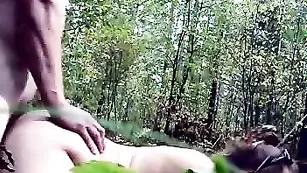 Отличное сношение в лесу