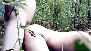 Отличное сношение в лесу
