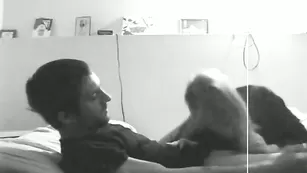 Жаркая парочка занимается ярым оральным сексом