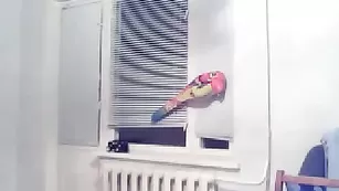 Великолепная шкура Iriskasexy танцует шикарный стриптиз