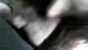 Шальная баба MiraElita отсасывает пенис кавалеру