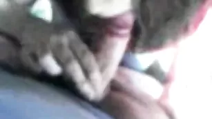 Шальная баба MiraElita отсасывает пенис кавалеру