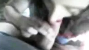 Шальная баба MiraElita отсасывает пенис кавалеру