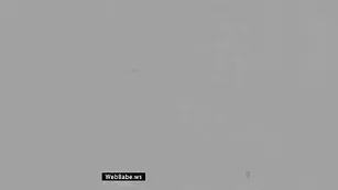 Кульная cutegirl теребит сочную киску