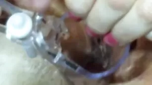 Похотливая крошка KissesOfLove показывает пизду ближним ракурсом