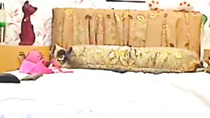 Милая шкура LadyDee раздевается в привате