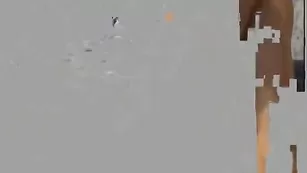 Сладкая телочка sweetly соблазняет шикарным телом