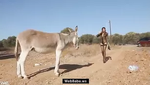 Сексуальная шваль Maria развлекается с ослом