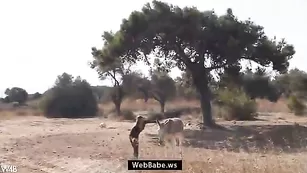 Сексуальная шваль Maria развлекается с ослом