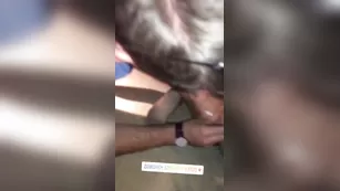 Mykonos порночат