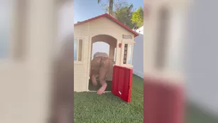 memphisbeauty 2021 Как я застряла в доме превью шоу чат живое порно