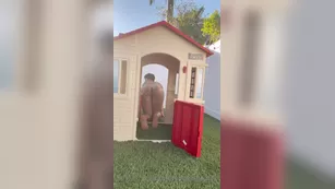 memphisbeauty 2021 Как я застряла в доме превью шоу чат живое порно