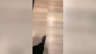 Allison Parker pussy fingering sauna xxx live porn live sex