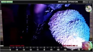 those_darn_frigs Chaturbate реальный вэбкамс