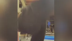 misssaintxxx Working out this b xxx onlyfans nude реальный порно