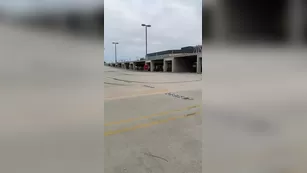 darkelefant Ruuunnnn xxx onlyfans nude реальный порно