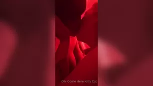 comeherekittycat Check out мой девушка Cocosdungeon here s a sneak шоу чат реальный порно