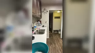 Vikkiii 17 04 2020 239696299 Video шоу чат реальный порно