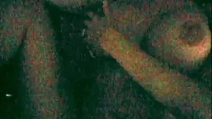 Nancy Ace pink дилдо bathtub pleasure snapchat бесплатное