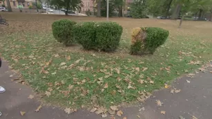 uptownjenny Did a crazy scene today lol шоу чат реальный порно