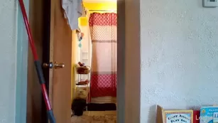 winterlashelldior nude cam реальный порно video stream шоу чат реальный порно