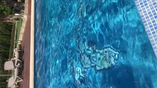 sha_rizel hi мой friends Today I will make вас happy with a piece шоу чат реальный порно