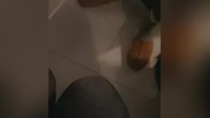 audreyshanice 20 11 2020 ЕБАННЫЙ МОЙ BIGGEST FAN I ll throw in a bonus once шоу чат реальный порно