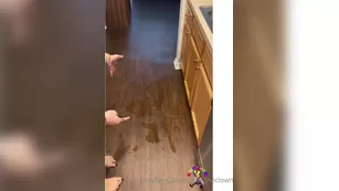 gibbytheclown_2020 10 29_1161347656_Gift_to_my_subs_man_Gibby_The_Plumber_Fu шоу чат реальный порно