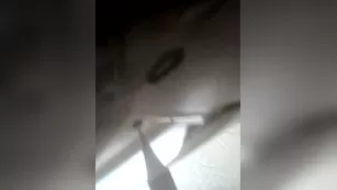 professor gaia selfie stick that dick in мой киска vol 1 шоу чат реальный порно