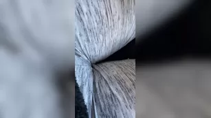 taytaybaby96 In traffic but wanna play шоу чат реальный порно