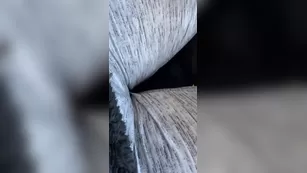 taytaybaby96 In traffic but wanna play шоу чат реальный порно