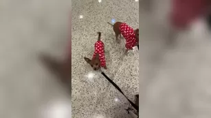 aubreykate 03 01 2021 Milf on the way stay tuned it might get naughty шоу чат реальный порно