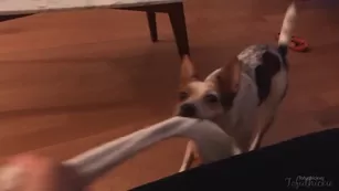 tofuthickie hi guys i'm slowly starting feel better so here s мой newest video to make up для мой absen шоу чат реальный порно