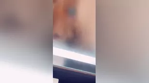 wasabiishot шоу чат реальный порно