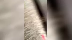 lolakashh_live cam реальный порно video stream шоу чат реальный порно