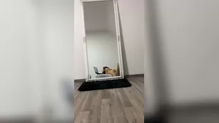 bellethegoddess _5f8dfebe0d29176c17be4_source шоу чат реальный порно