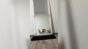 bellethegoddess _5f8dfebe0d29176c17be4_source шоу чат реальный порно