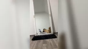 bellethegoddess _5f8dfebe0d29176c17be4_source шоу чат реальный порно