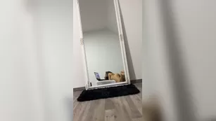 bellethegoddess _5f8dfebe0d29176c17be4_source шоу чат реальный порно