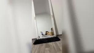 bellethegoddess _5f8dfebe0d29176c17be4_source шоу чат реальный порно