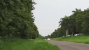 Im_yashika pink panties Chaturbate голая cam NightFlirt masturbating video