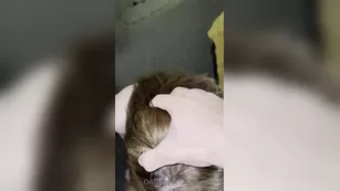 jaylenexo 11 02 2021 Meeting with bull at a hotel while hubby is at work H шоу чат реальный порно